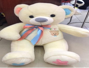 OSO PARA REVELACION DE GENERO 110CM FUNDA